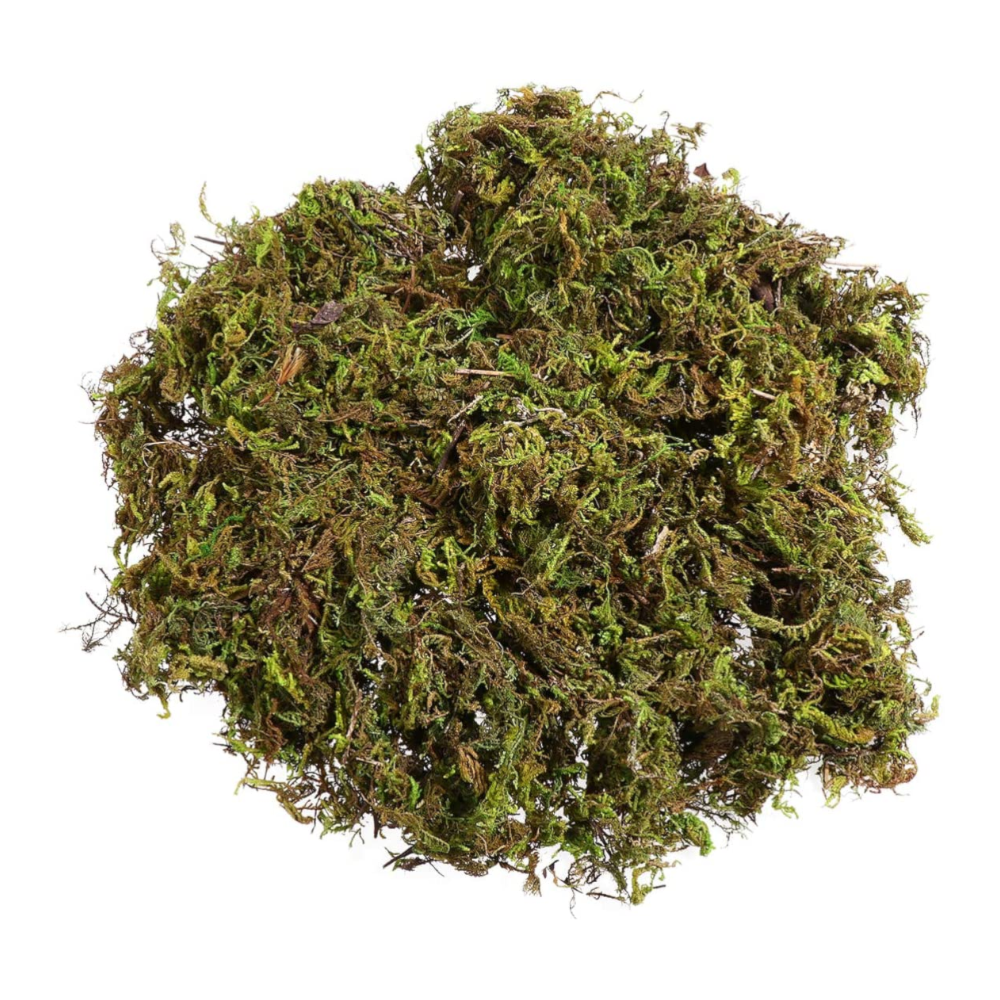 Musgo Verde para Plantas 50 g