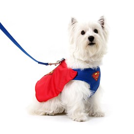 Peitoral Com Guia Para Cães Air Mesh Liga da Justiça Superman - SulaPet