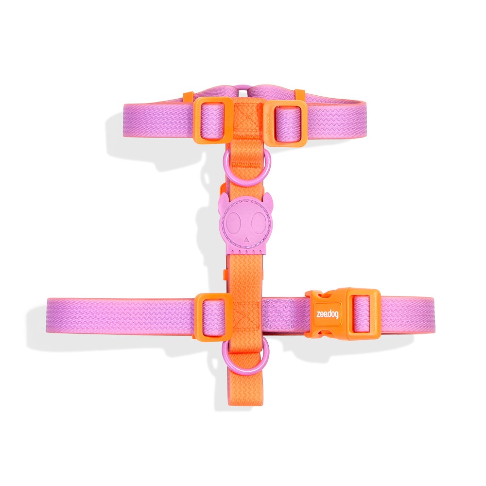 Peitoral em H Zeedog para Cachorro Neopro Iris G