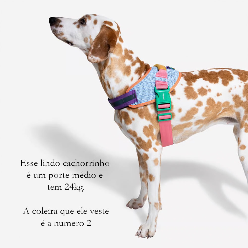 Peitoral para Cachorros Fly Harness Galaxy - N3
