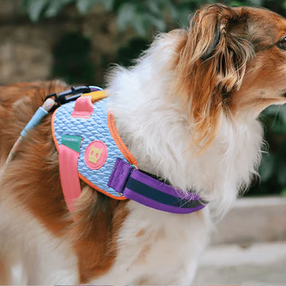 Peitoral para Cachorros Fly Harness Galaxy - N3