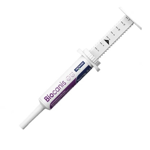 Probiótico Biocanis Ourofino para Cães e Gatos Pasta 14g