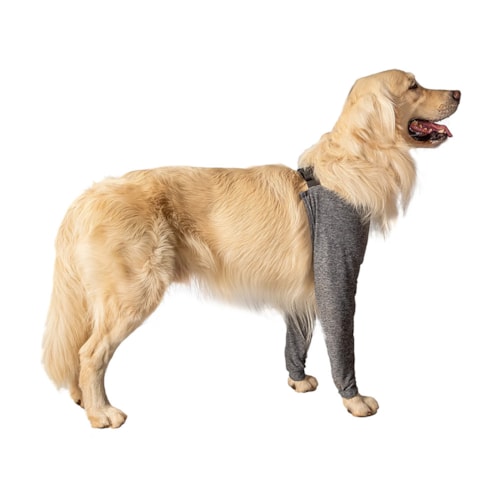 Protetor de Membros Anteriores para Cães Tamanho 2 Cinza PetDesigner - imagem adicional