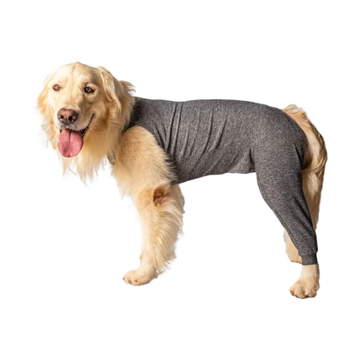 Protetor de Membros Posteriores para Cães Tamanho 7 Cinza PetDesigner