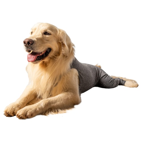 Protetor de Membros Posteriores para Cães Tamanho 7 Cinza PetDesigner - imagem adicional