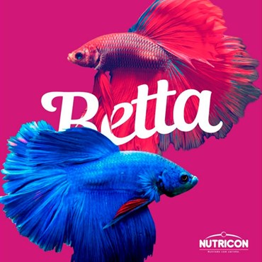 Ração Nutricon Nutribetta para Peixes Betta 5g 
