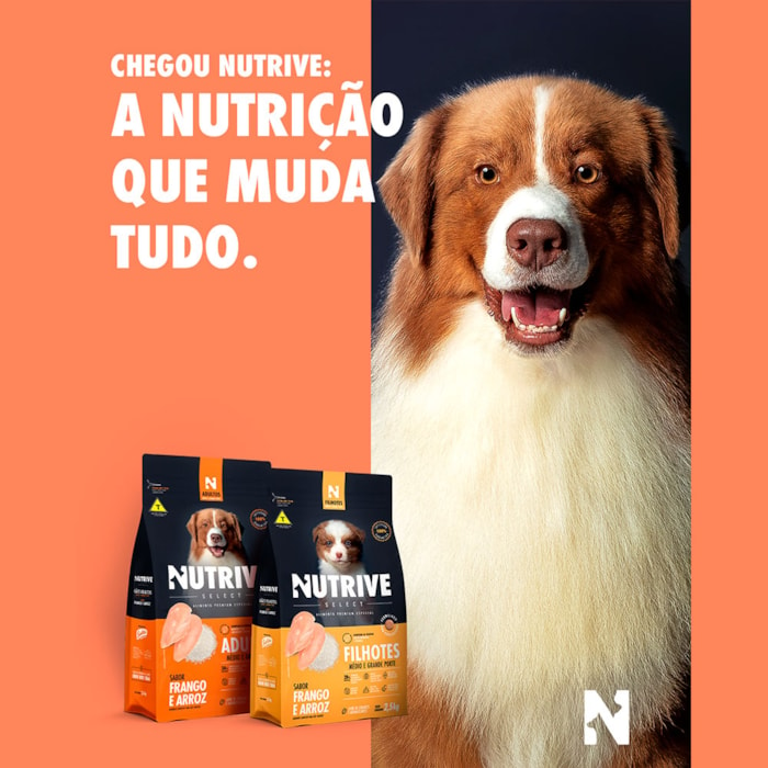 Max para Cães Filhotes de Porte Médio e Grande Sabor Carne e Arroz