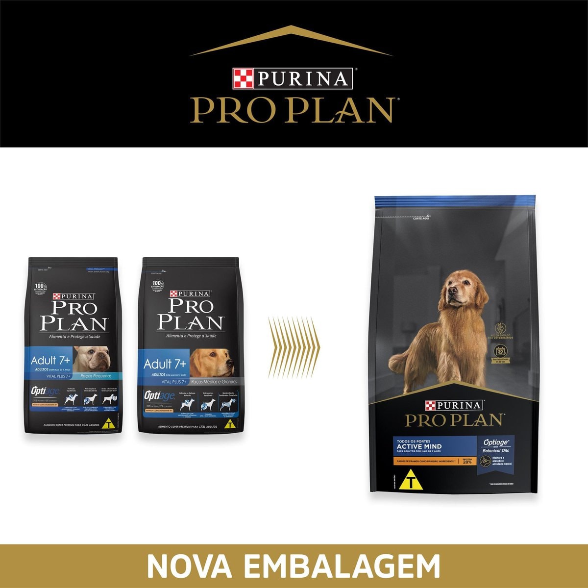purina active mind