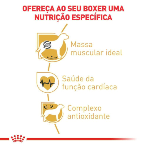 Ração Royal Canin Cães Adultos da Raça Boxer 10,1 kg - imagem adicional