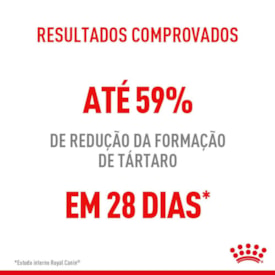 Ração Royal Canin Dental Care para Gatos 400g - imagem adicional