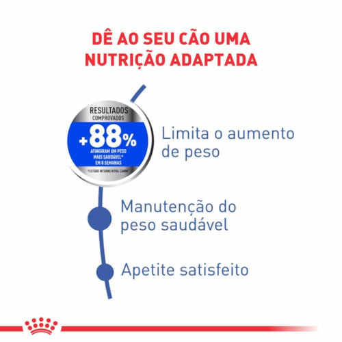 Ração Royal Canin Mini Light Cães Adultos com Tendência à Obesida 1,0 kg - imagem adicional