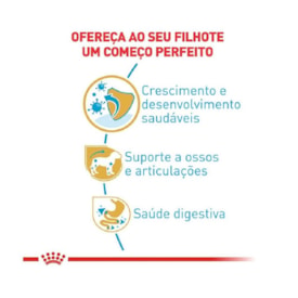 Ração Royal Canin Raças Específicas Dachshund Puppy Filhotes 2,5kg - imagem adicional