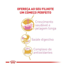 Ração Royal Canin Raças Feline Kitten Persian Filhotes 1,5 kg - imagem adicional