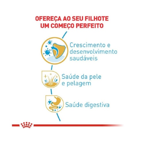 Ração Royal Canin Raças Maltês Puppy Filhotes 1,0 kg - imagem adicional