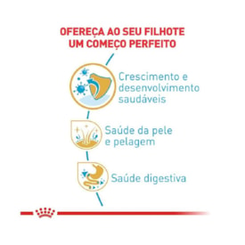 Ração Royal Canin Raças Maltês Puppy Filhotes 2,5 KG - imagem adicional