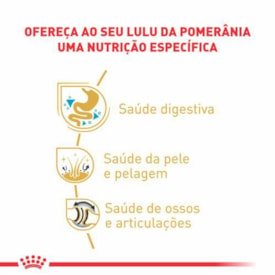 Ração Royal Canin Raças Pomeranian Adulto 2,5 KG - imagem adicional