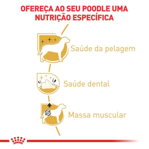 Ração Royal Canin Raças Poodle Adulto 1,0 kg - imagem adicional