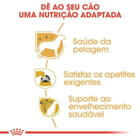 Ração Royal Canin Raças Yorkshire Terrier Adulto 1,0 kg - imagem adicional