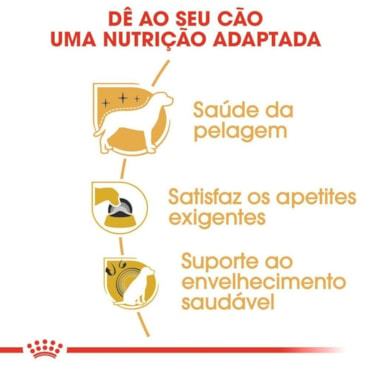 Ração Royal Canin Raças Yorkshire Terrier Adulto 1,0 kg - imagem adicional