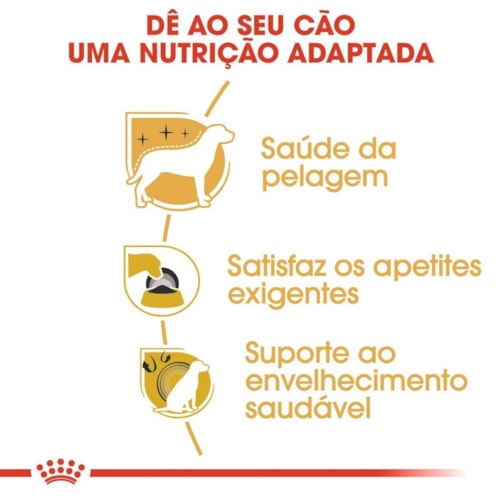 Ração Royal Canin Raças Yorkshire Terrier Adulto 2,5 KG - imagem adicional
