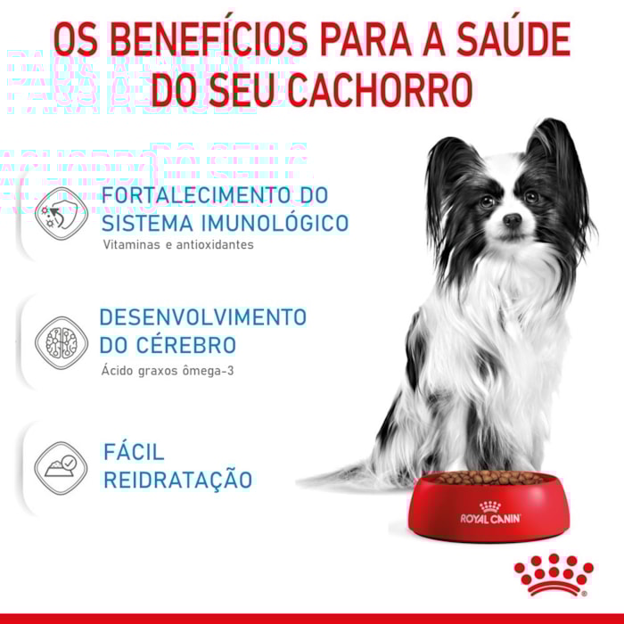 Ração Royal Canin X-Small Puppy Cães Filhotes a 10 Meses 1,0 kg