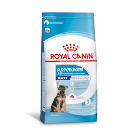 Ração Seca Royal Canin Maxi Puppy para Cães Filhotes de Porte Grande 12 KG