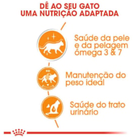 Ração Úmida Royal Canin Pele & Pelagem para Gatos 85g - imagem adicional