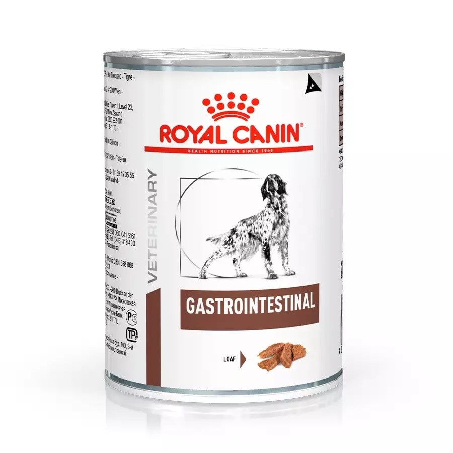 Royal canin on sale gastro intestinal 400g