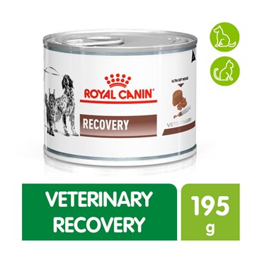 Ração Úmida Royal Canin Vet Diet Canine Recovery Lata 195 g