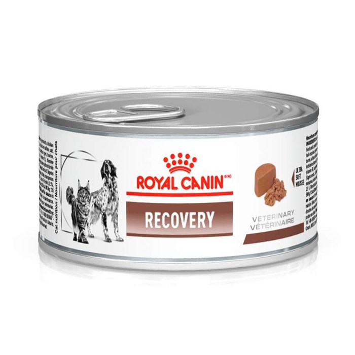 Ração Úmida Royal Canin Recovery para Cachorros e Gatos em Recuperação KIT  6x Latas 195g