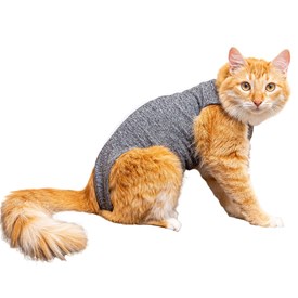 Roupa Pós-Cirúrgica Exclusiva para Gatos - Pet Designer