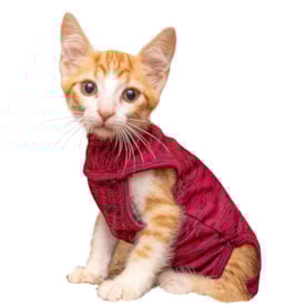 Roupa Pós-Cirúrgica Exclusiva para Gatos - Pet Designer