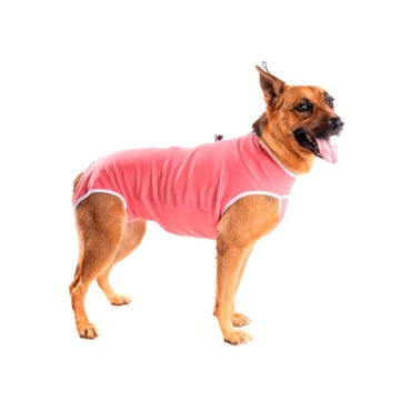 Roupa Pós-Cirúrgica Vest Pet para Cães Macho ou Fêmea (Unissex) Coral N 4