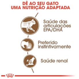 Sachê Royal Canin Ageing 12+ para Gatos Idosos 85g - imagem adicional
