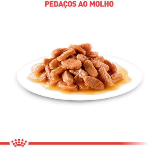 Sachê Royal Canin Cuidado Digestivo Gatos Adultos 85g - imagem adicional