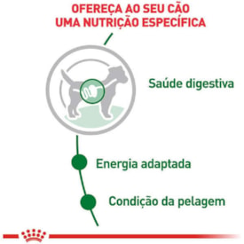 Sachê Royal Canin para Cães Adultos de Raças Pequenas 85g - imagem adicional