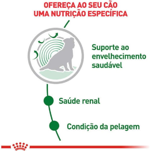 Sachê Royal Canin para Cães Adultos de Raças Pequenas a partir de 12 Anos de Idade 85g - imagem adicional