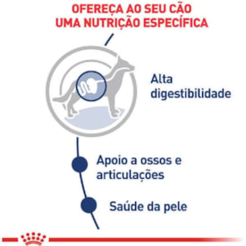 Sachê Royal Canin para Cães Adultos Raças Grandes 140g - imagem adicional