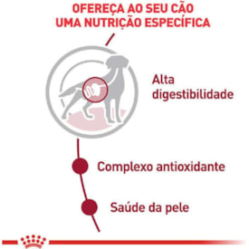 Sachê Royal Canin para Cães Adultos Raças Médias 140g - imagem adicional