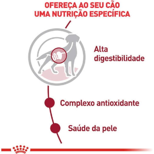 Sachê Royal Canin para Cães Adultos Raças Médias 140g - imagem adicional