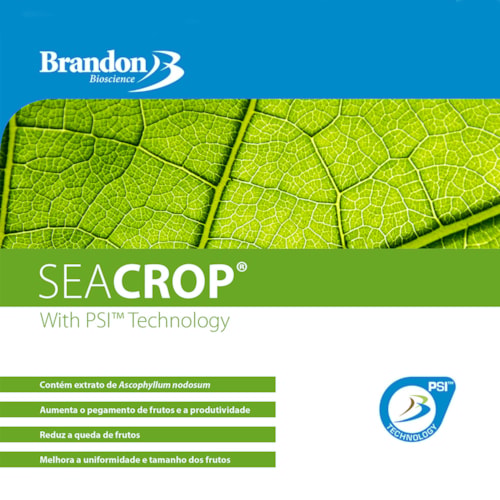 Seacrop Fertilizante Foliar Mineral Misto Brandon - 10 Litros - imagem adicional