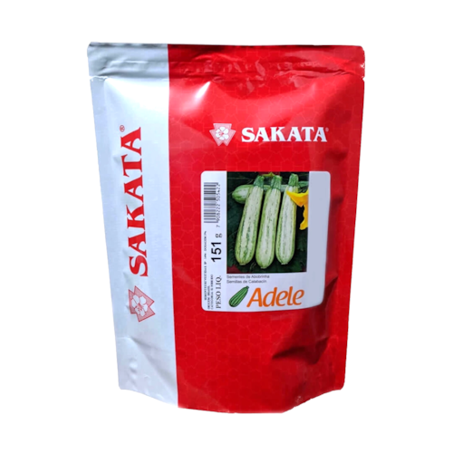 Semente de Abobrinha Adele 1000 Sementes Sakata