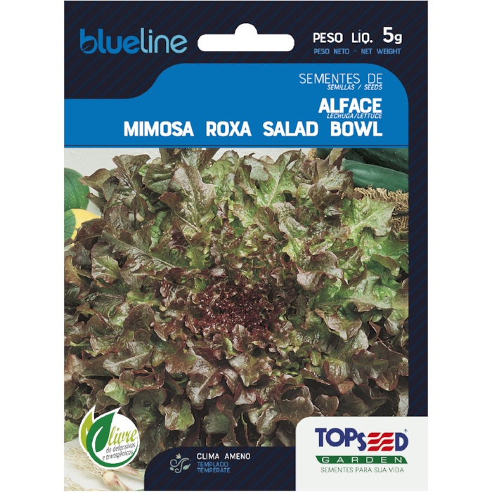 Semente de Alface Black Seed Simpson 10g - Topseed L011