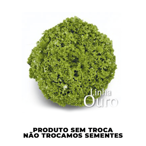Semente de Alface Crespa Ariel Peletizada Linha Ouro 5.000 Sementes - Horticeres