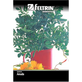 Semente de Arruma Golden 10g - Feltrin