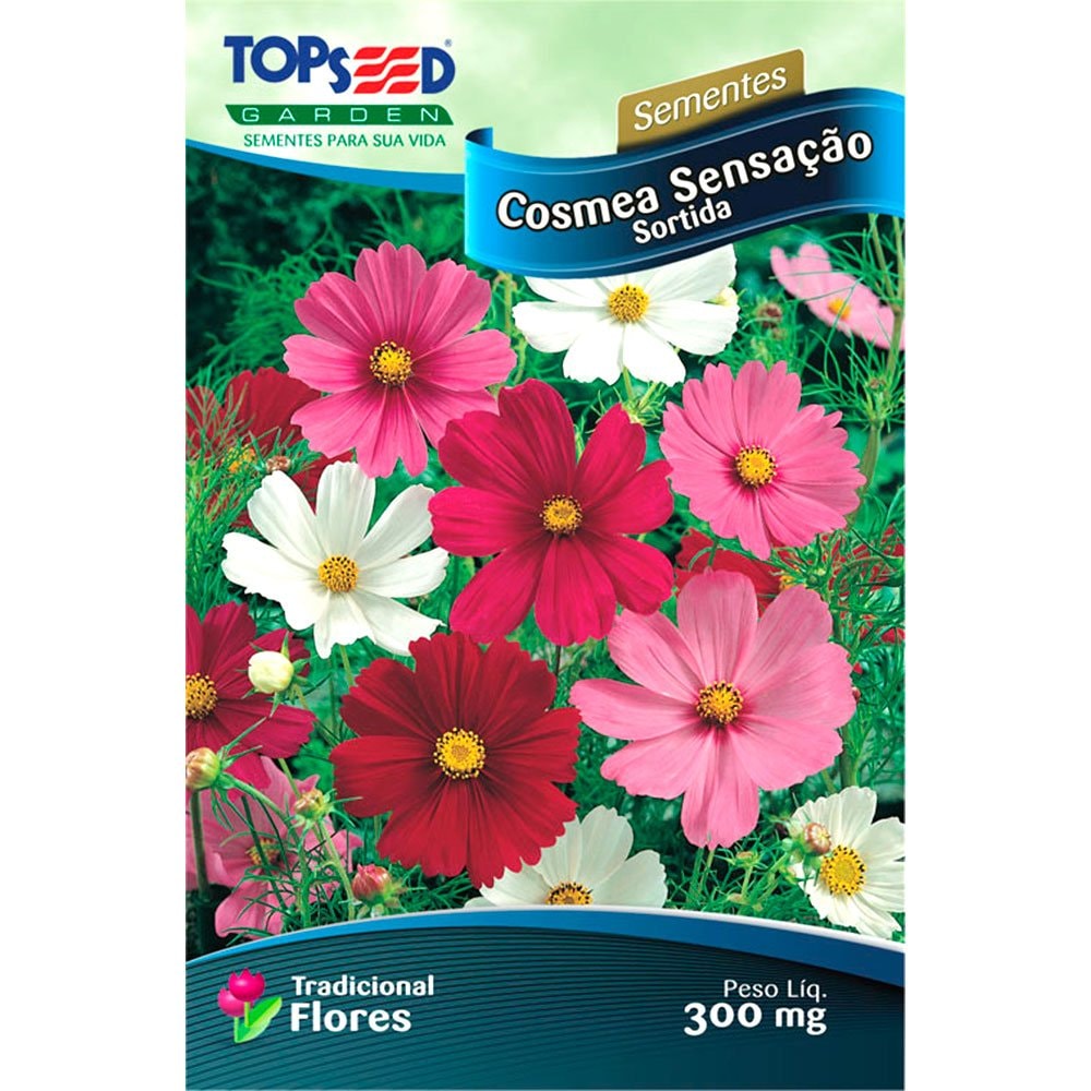 Semente de Cosmea Sensação Sortida Topseed