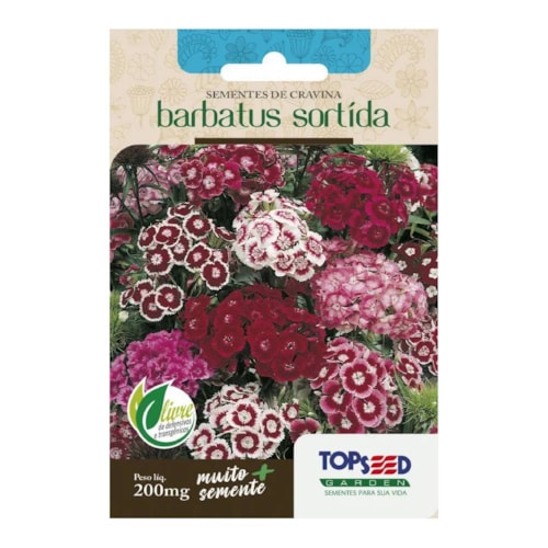 Semente de Cravina Barbatus Sortida Topseed 200mg 