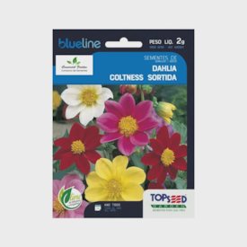 Semente de Dahlia Coltness 2g - Topseed