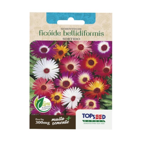 Semente de Ficóide Bellidiformis Sortido Topseed 300mg 