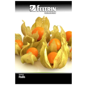 Semente de Fisális Goldenberry Golden 10g - Feltrin 1215